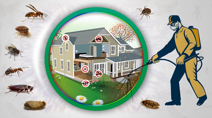 Güney Böcek İlaçlama